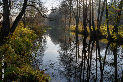 Złota Polska Jesień nad rzeką Supraśl, Podlasie, Polska