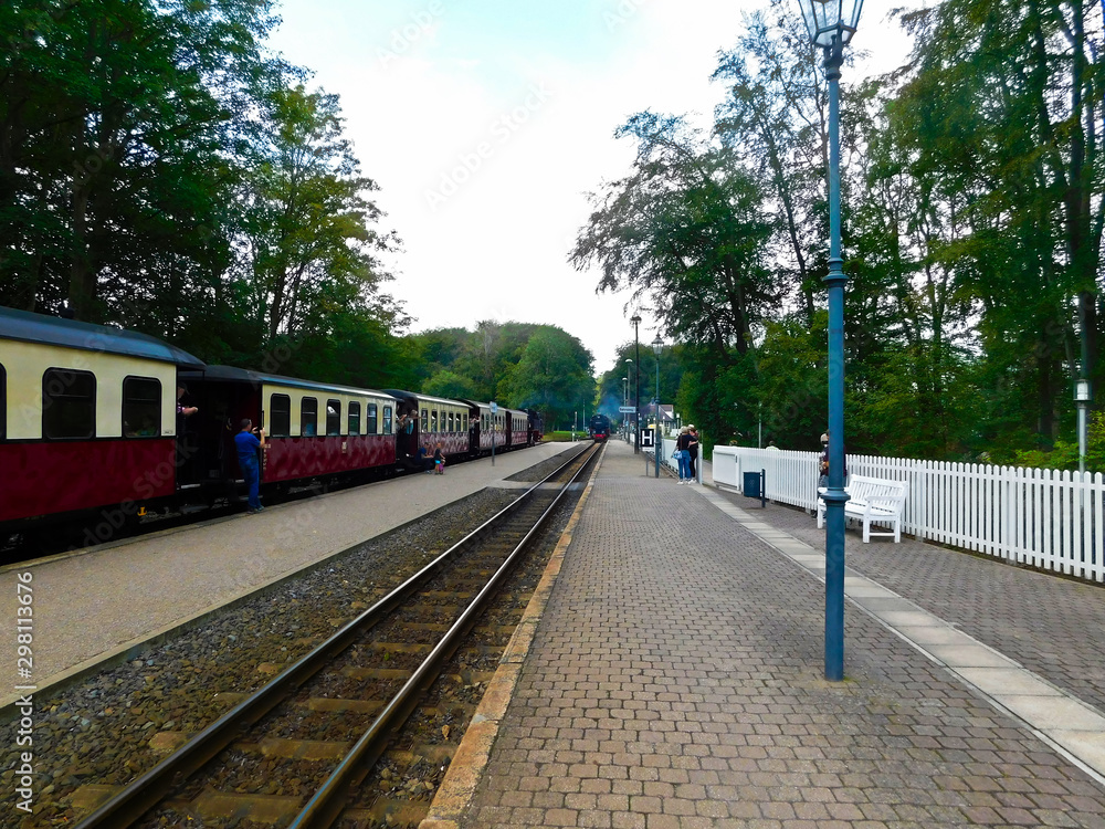 Fototapeta premium Die einfahrende Zug auf den historischen Bahnhof an der Ostseeküste