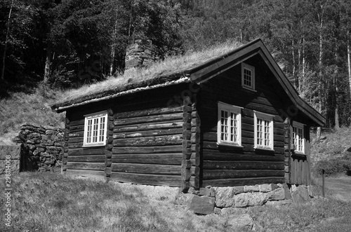 Norwegian Folk Architecture. In retro stile © Sergey Kamshylin
