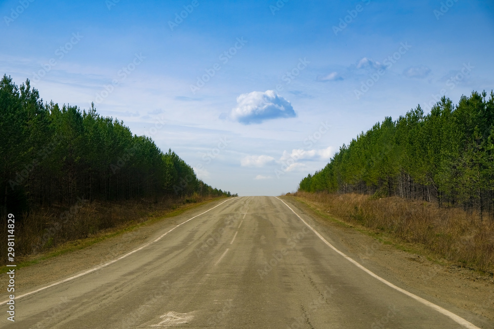 A long straight empty asphalt road through green forest on sunny day, perspective. Travel concept