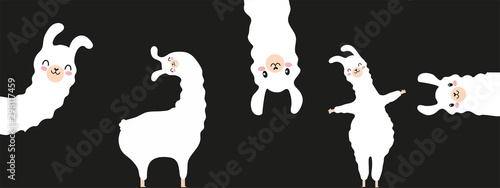 funny alpaca drawing for postcards, bookmarks