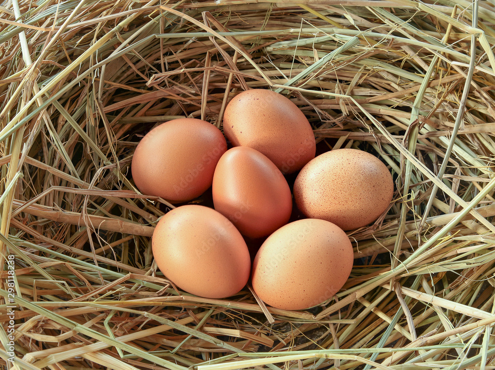 brown eggs in a basket