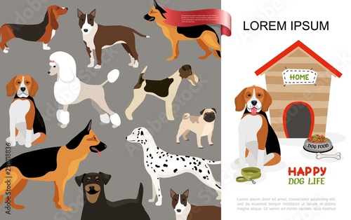 Flat Happy Dog Life Concept