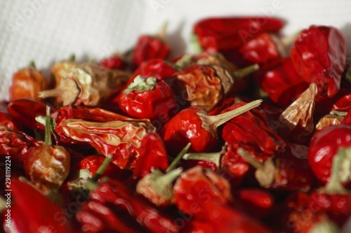Foto some like it hot: growing colourful peppers, harvested peppers