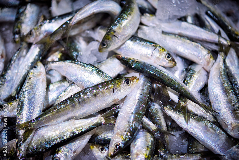Fresh bunch of small Portuguese sardines on ice exposition at the fish market. Background. Fresh bunch of small Portuguese sardines on ice exposition at the fish market. Background.