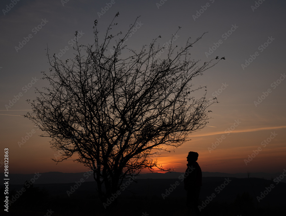 Tree and human at sunset, silhouette