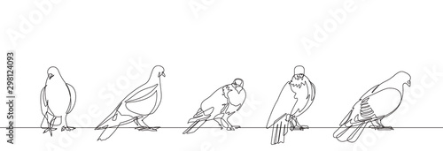 Pigeon One Continuous Line Vector Illustration Set of Five