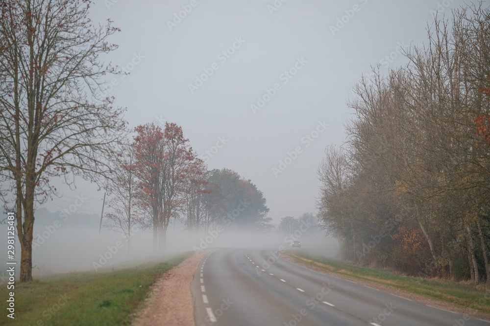 Fototapeta premium foggy autumn morning