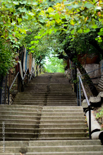 Cozy city staircase surrounded by green foliage © milankaya