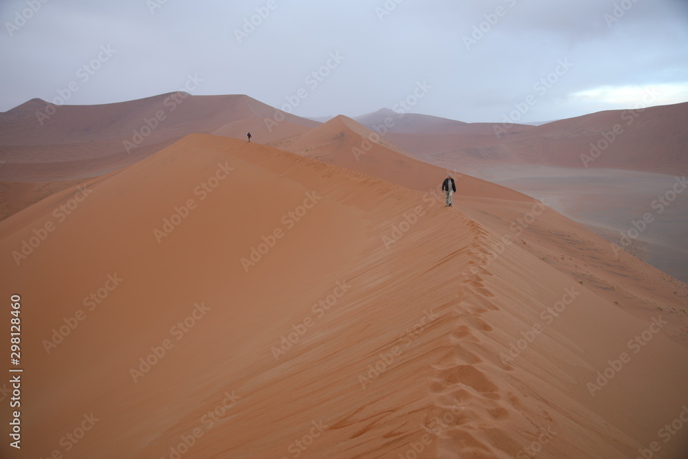 Numib desert