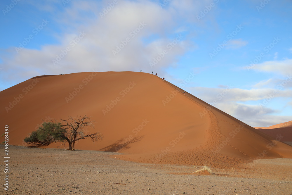Numib desert