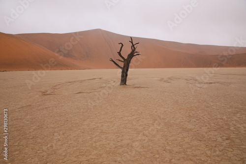 Dead Vlei in Namib Desert  Namibia