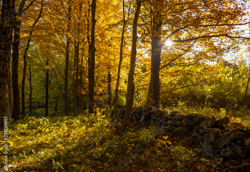 October Autumn Landscape