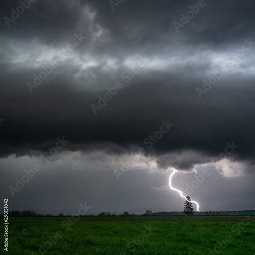 lightning and lonely tree