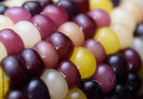 Closeup of Multicolored Flint aka Indian Corn on the Cob