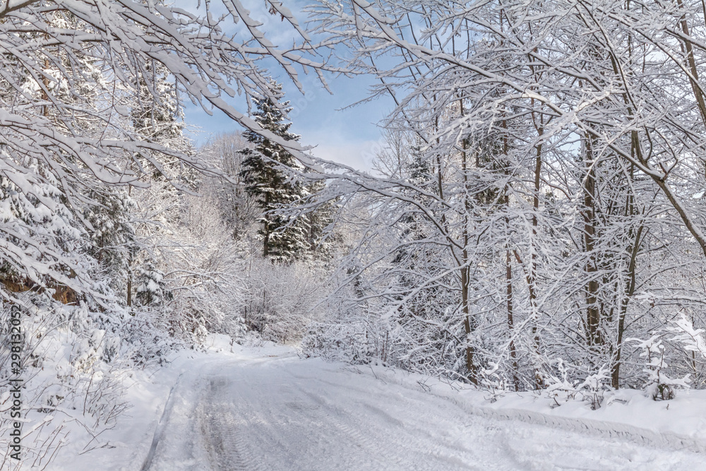 Fototapeta premium Winter landscape - view of the snowy road in the winter mountain forest after snowfall
