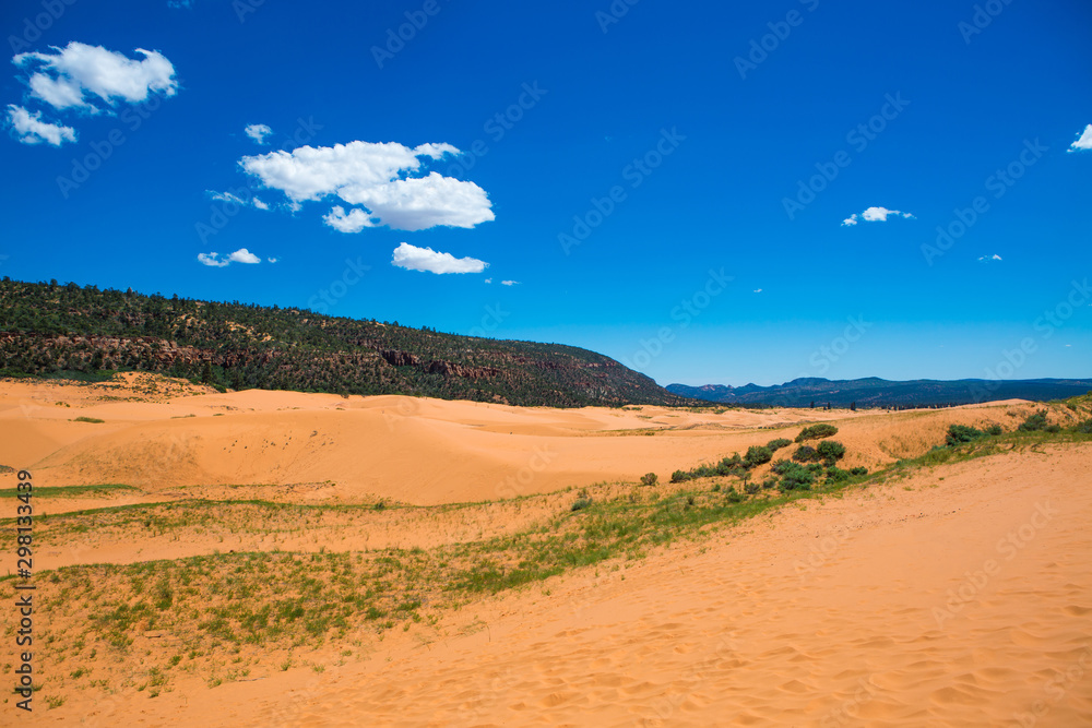 Coral pink san dune in the Utah desert, USA Coral pink san dune in the Utah desert, USA