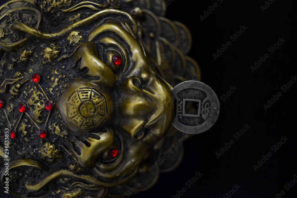 Obraz premium Money toad on black backround