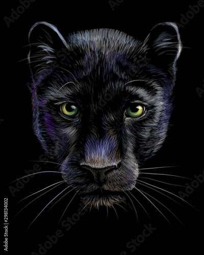 Panther. Artistic, sketchy, color portrait of a panther head on a black background.