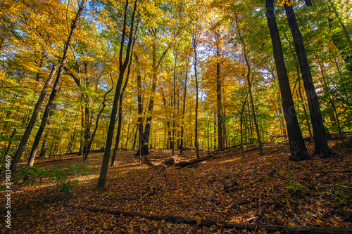 Autumn Colors in the Cuyahoga Valley National Park