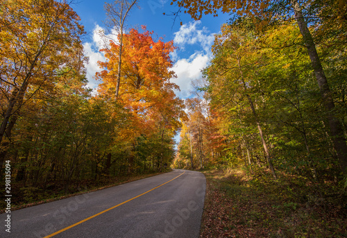 Autumn Colors in Virginia Kendall