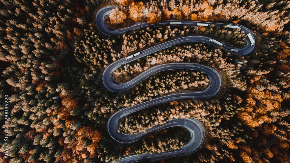 Aerial view of forest road in beautiful autumn .at sunset. Serpentines details with colourful landscape with heavy traffic and yellow trees Aerial view of forest road in beautiful autumn .at sunset. Serpentines details with colourful landscape with heavy traffic and yellow trees