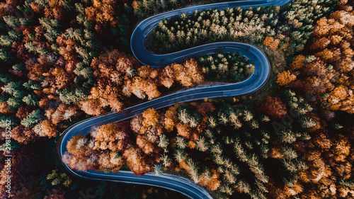 Aerial view of forest road in beautiful autumn .at sunset. Serpentine asphalt road details with colourful landscape with heavy traffic and yellow trees © aboutmomentsimages