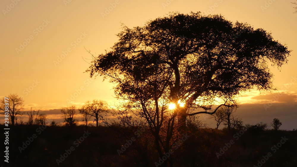 sunset in kenya