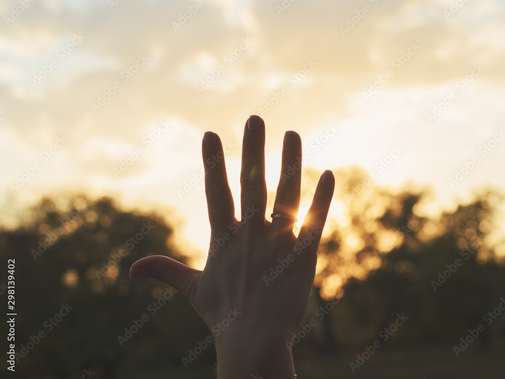 hands in the sunset
