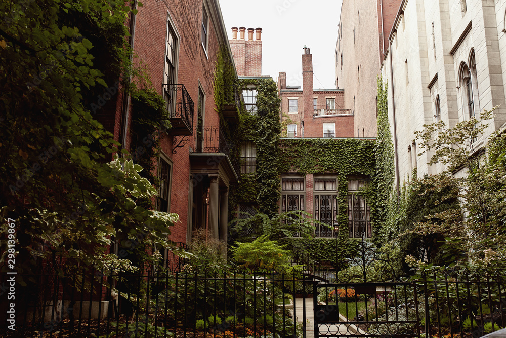 Courtyard with lush, green foliage in the historic Beacon Hill neighborhood of Boston, Massachusetts. Courtyard with lush, green foliage in the historic Beacon Hill neighborhood of Boston, Massachusetts.