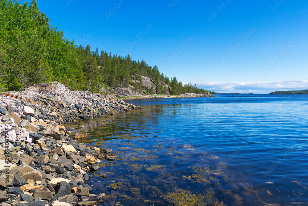 The shore of the White Sea on a sunny summer day.