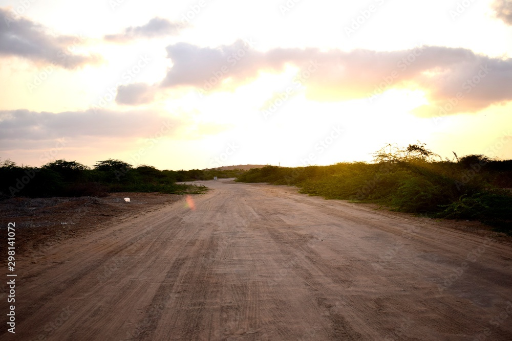 road in field road in field