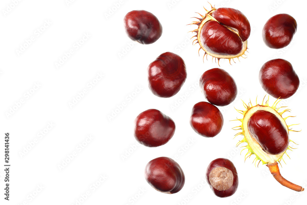 chestnuts isolated on white background. top view chestnuts isolated on white background. top view