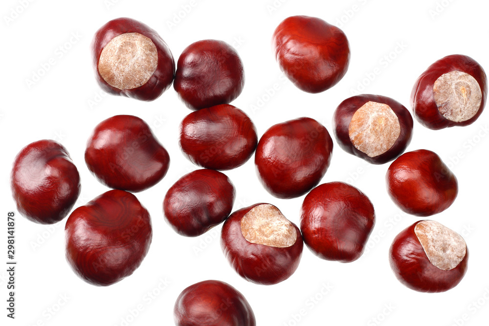 chestnuts isolated on white background. top view chestnuts isolated on white background. top view