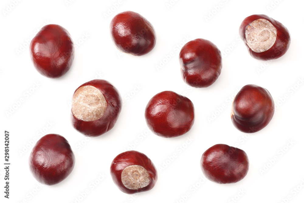 chestnuts isolated on white background. top view chestnuts isolated on white background. top view