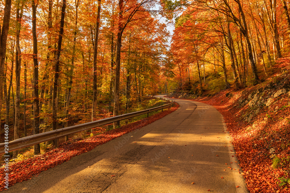 Strada di montanga in autunno