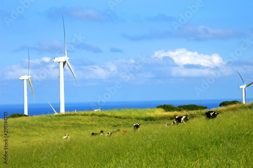 Big Island Wind Farm