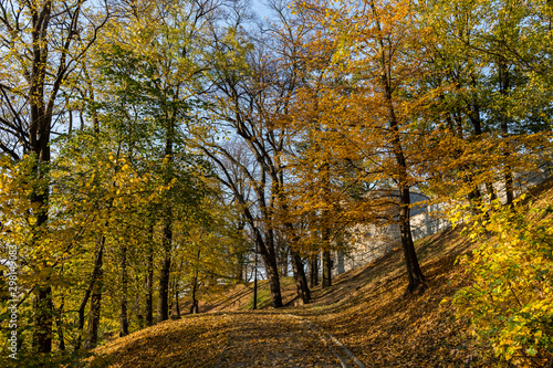 Fototapeta Naklejka Na Ścianę i Meble -  Jesień,park. Przemyśl