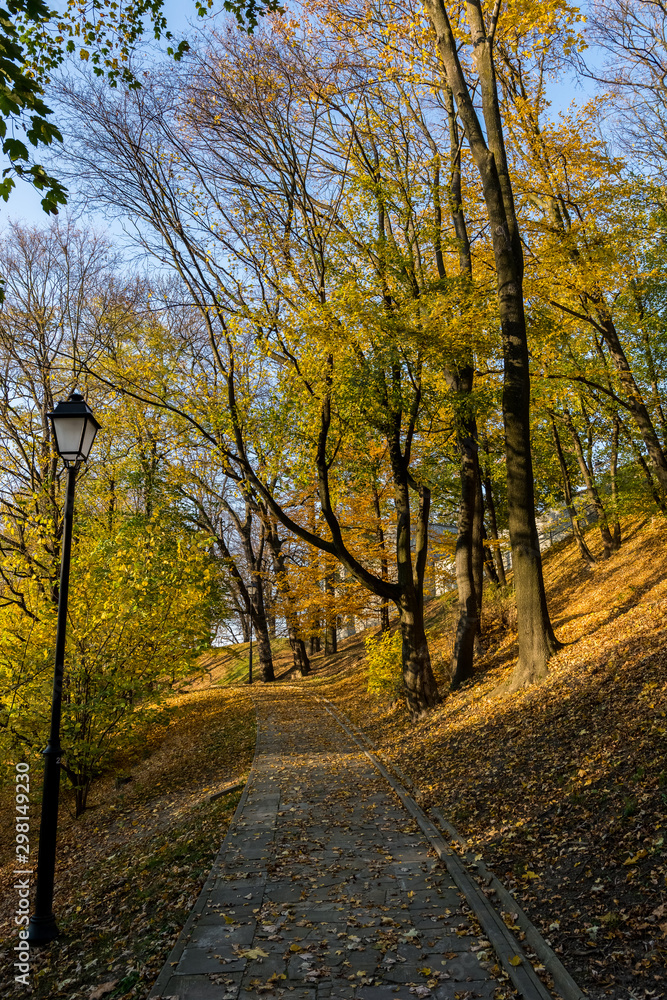 Naklejka premium Jesień,park. Przemyśl