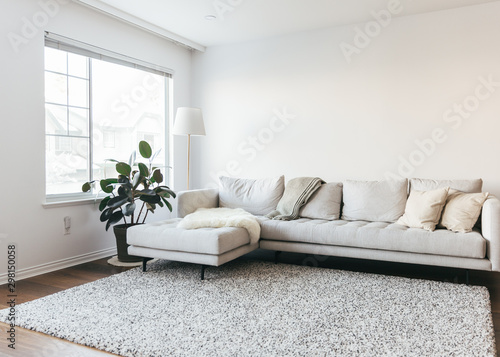 Beautiful interiors of minimalist home with lamp, sofa, rug and plants photo