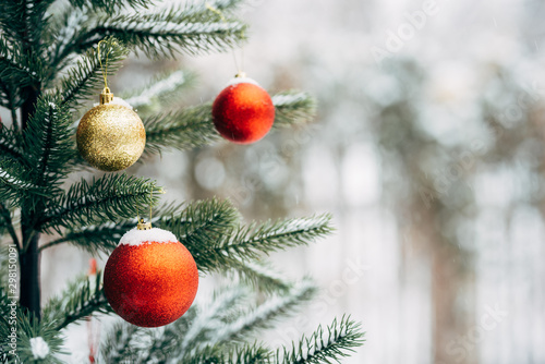 Christmas tree in the snow