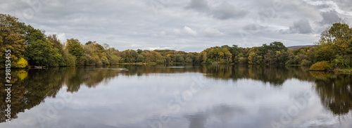 Trees changing their colours during autumn 2019 on Wyresdale Lake in Lancashire.