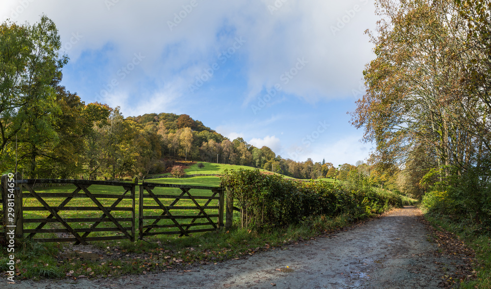 A multi image panorama of a track leading along the side of Lake Windermere, Cumbria.