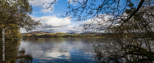 Εκτύπωση καμβά Branches and trees lean out to overhang the edge of Lake Windermere in Cumrbia seen during fall of 2019