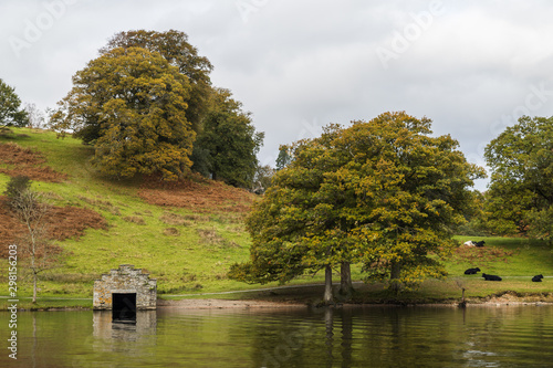 Cows share the shoreline of High Wray Bay on the edge of Lake Windermere with a boat shelter seen in October 2019. photo