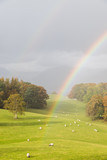 A portrait format image of a double rainbow above a field of grazing sheep next to Lake Windermere in Cumbria.