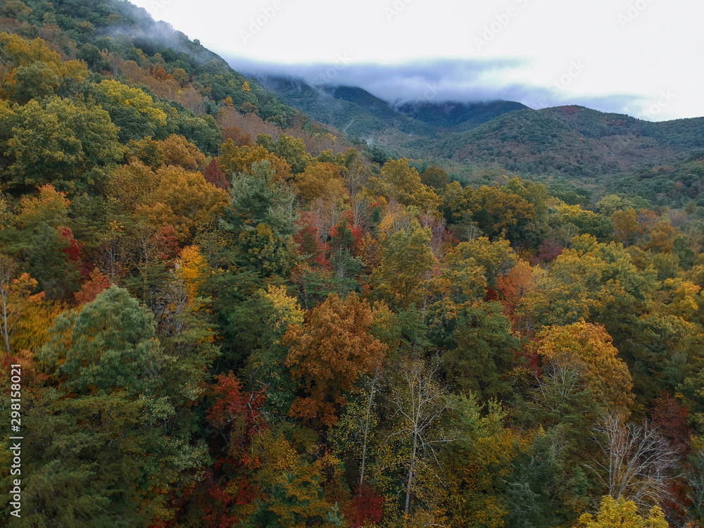Aerial Drone view of Autumn / fall in the Blue ridge of the Appalachian Mountains near Asheville, North Carolina. Vibrant red, yellow, orange leaf foliage colors from above. Aerial Drone view of Autumn / fall in the Blue ridge of the Appalachian Mountains near Asheville, North Carolina. Vibrant red, yellow, orange leaf foliage colors from above.