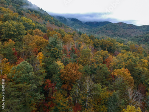 Aerial Drone view of Autumn / fall in the Blue ridge of the Appalachian Mountains near Asheville, North Carolina. Vibrant red, yellow, orange leaf foliage colors from above.