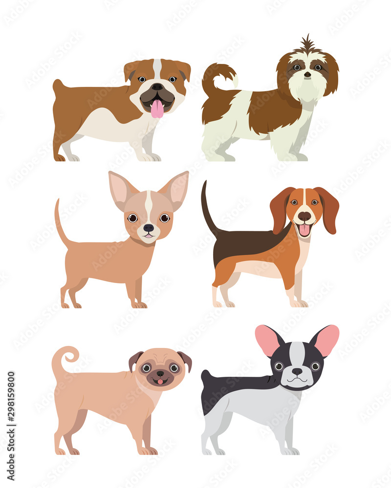 bundle of dog breeds group