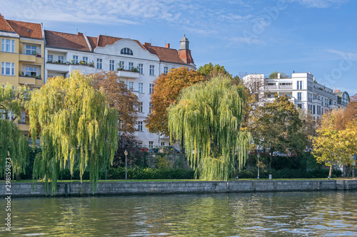 Canvas Print Banks of the river Spree lined with weeping willow trees in Berlin, Germany